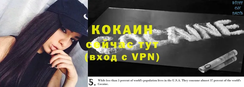 Cocaine 99% Микунь